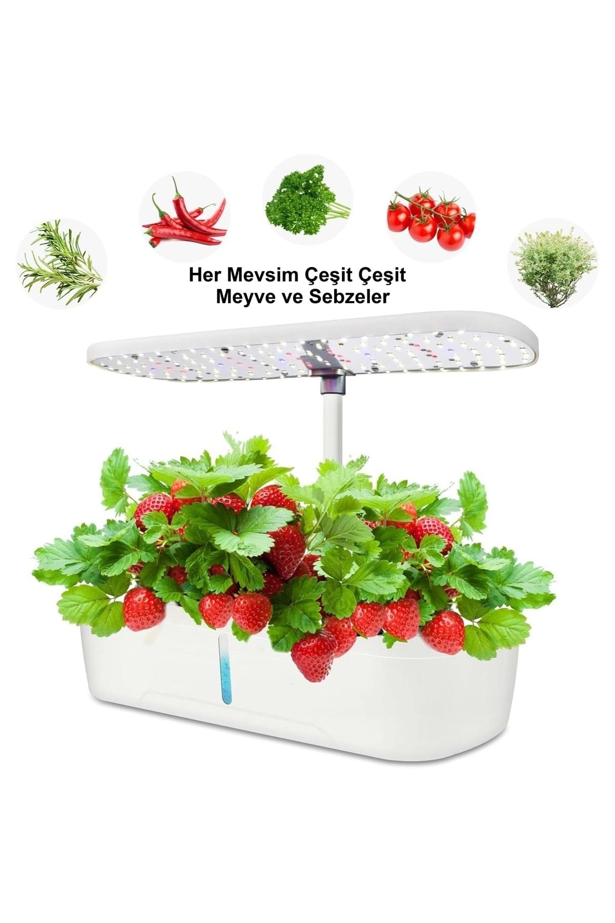 HyMark Hidroponik Topraksız 12 Bölme Bitki Yetiştirme Kiti 3 Mod 139 LED Tam Spekturum Bahçe Kit