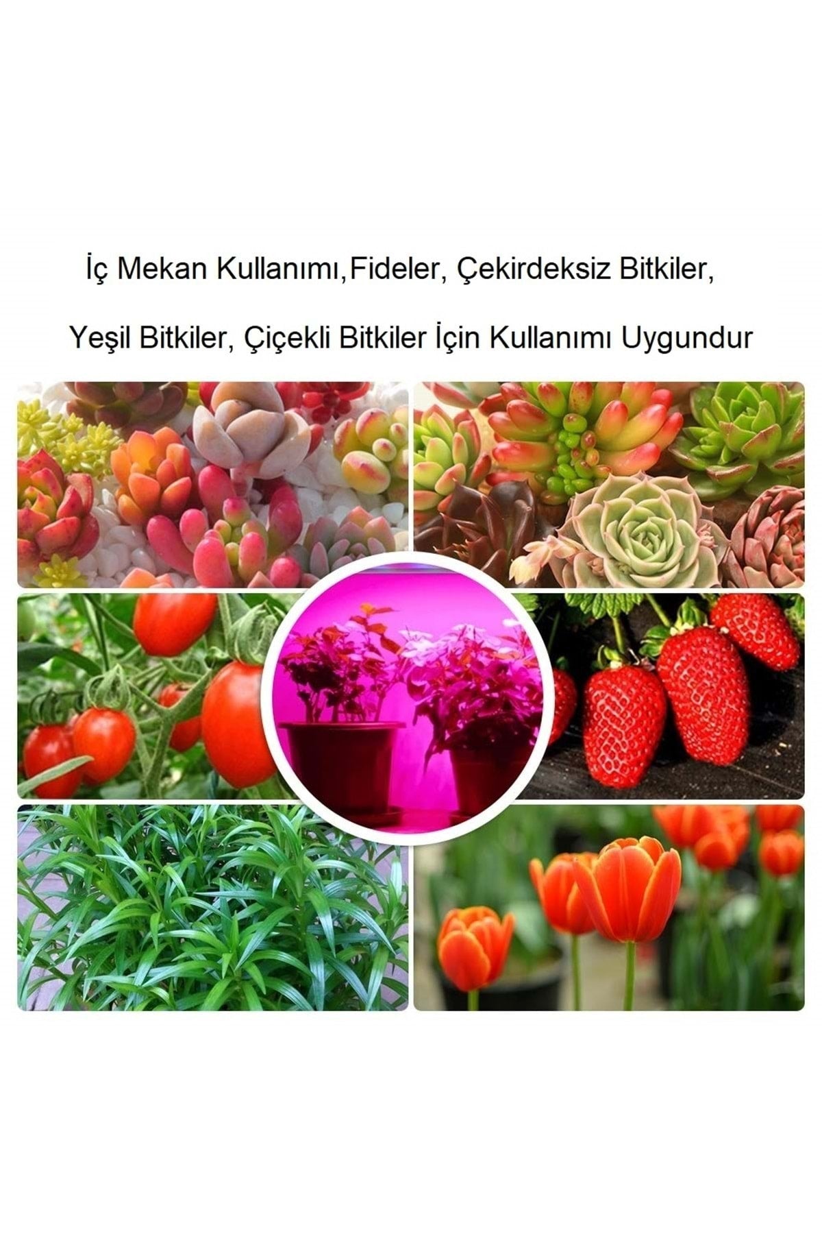 HyMark Bitki Yetiştirme Lambası Tam Spektrum Usb Şerit Led  3 metre
