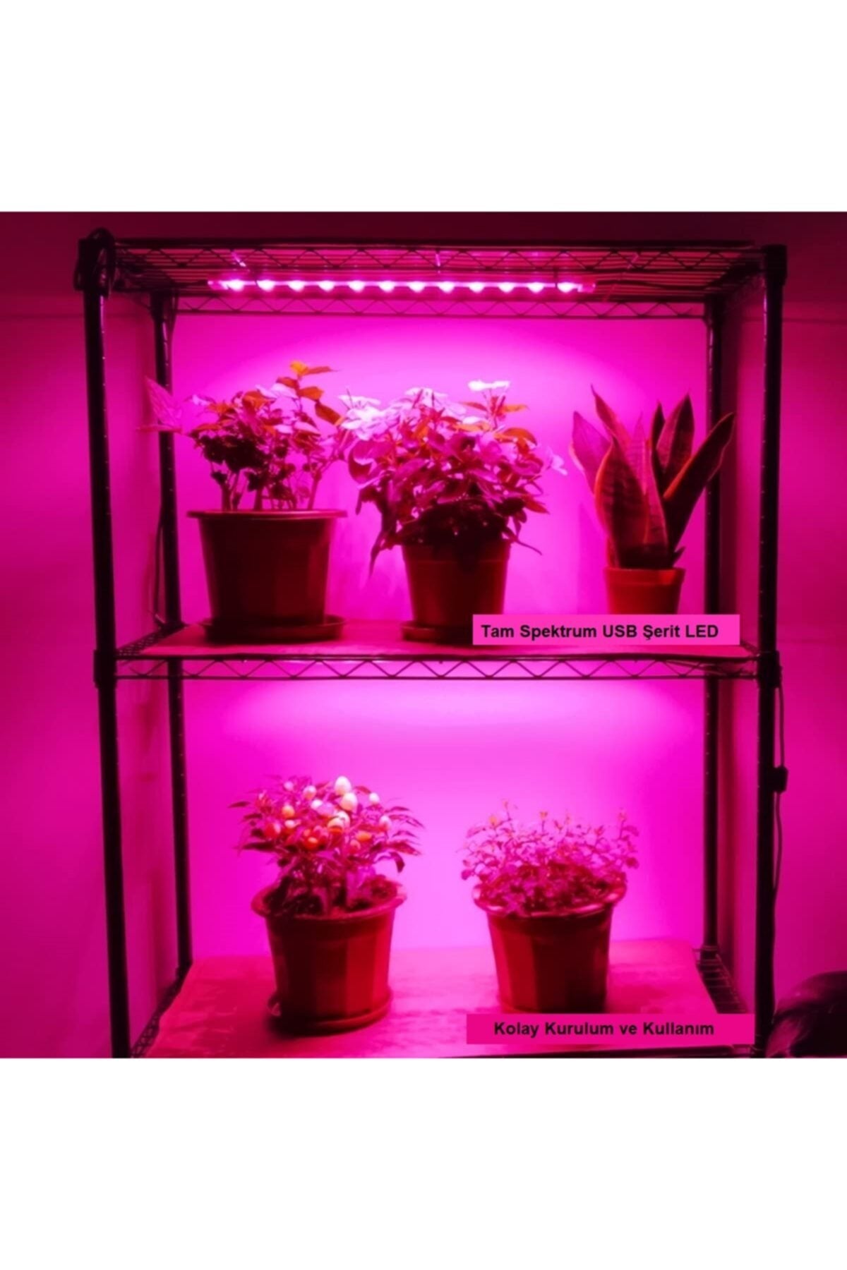 HyMark Bitki Yetiştirme Lambası Tam Spektrum Usb Şerit Led - 1metre